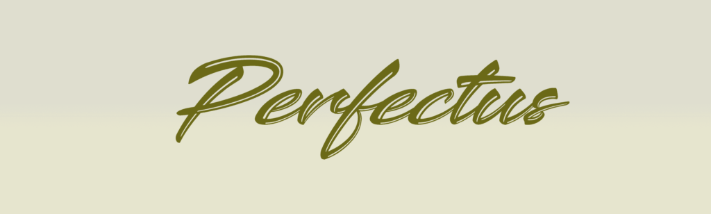 Reality - Real Estate Template